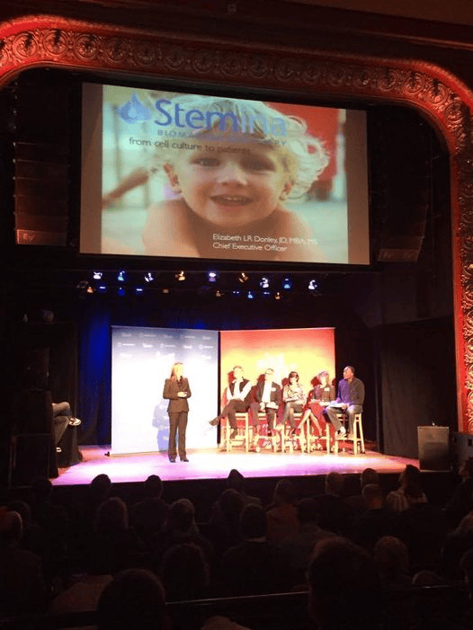 Picture of Beth Donley Presenting on Stage